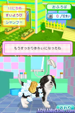 Image n° 3 - screenshots : Kawaii Koinu DS 2